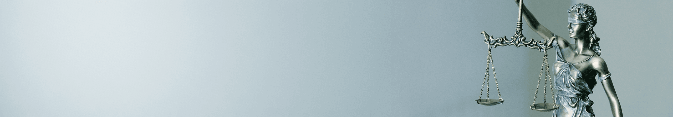 Collectif contre les Violences Familiales et l'Exclusion asbl banner