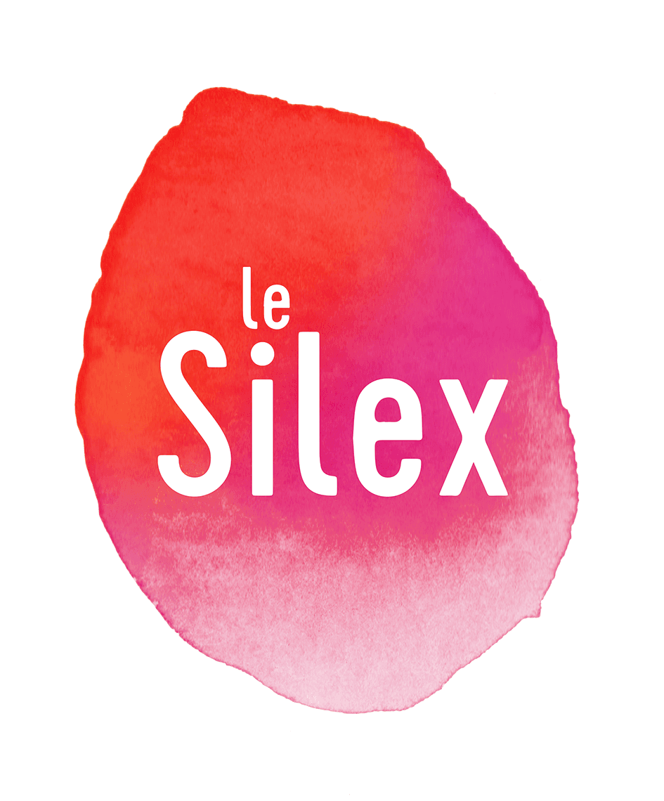 Le Silex - Photo 1